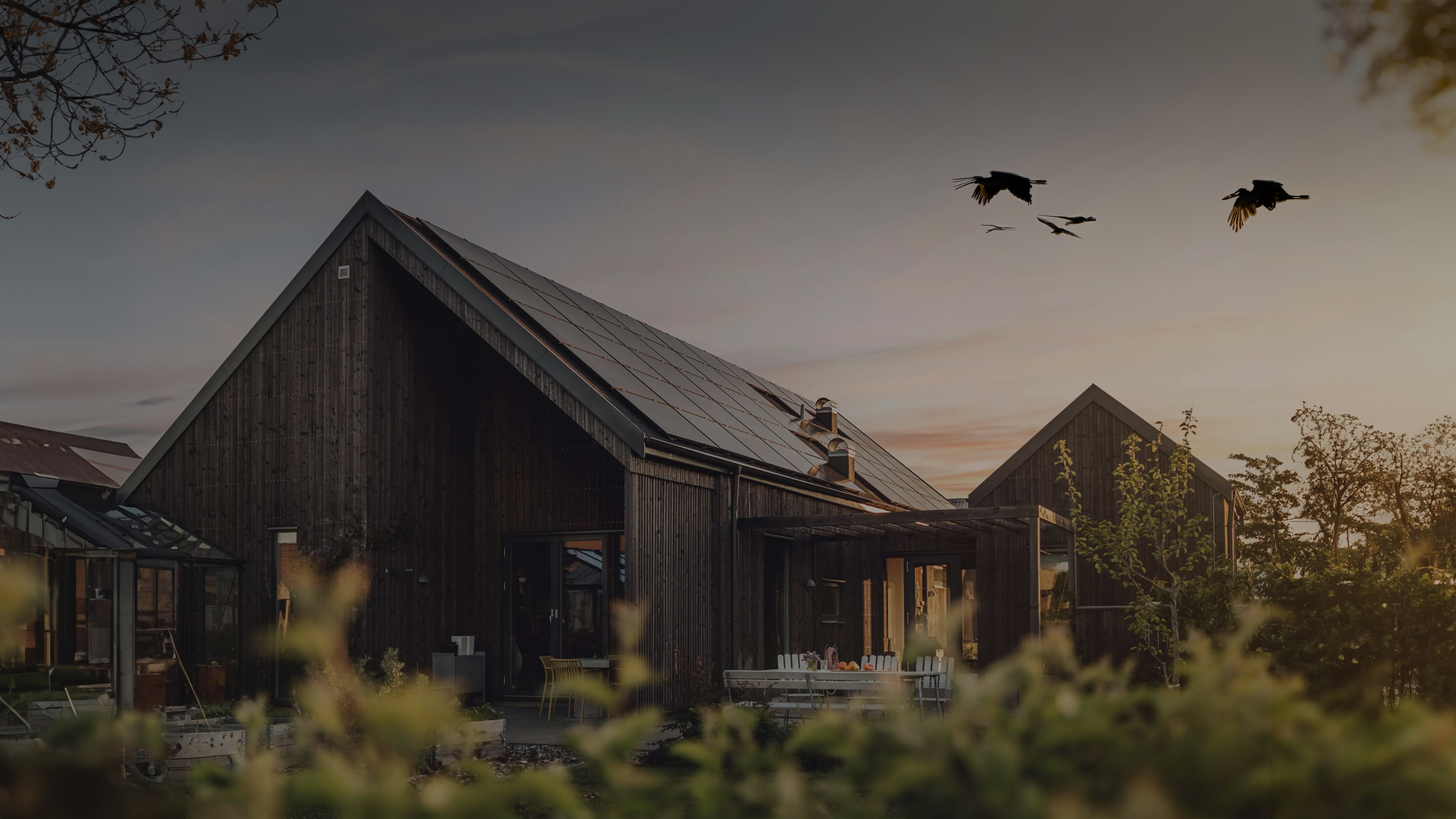 Hero Background